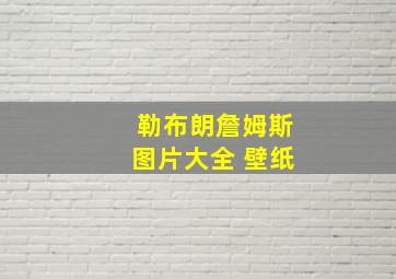 勒布朗詹姆斯图片大全 壁纸